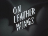 On Leather wings