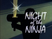 Night of the Ninja