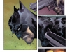 Batman – Detective Comics, tom 6: Ikar