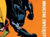 Batman: Mroczne zwycięstwo