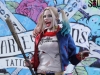 harley17-ypfbfrn