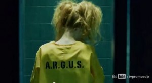 Harley Quinn w "Arrow"?