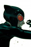 CATWOMAN #48